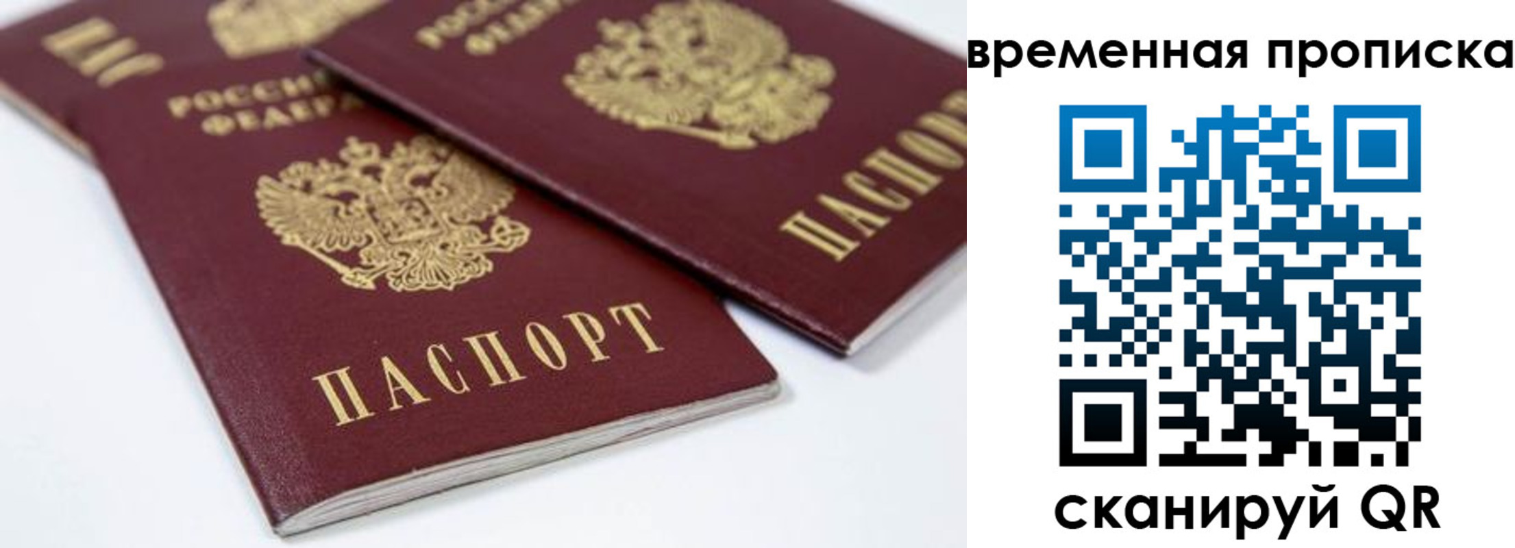 прописка для школы в Черногорске